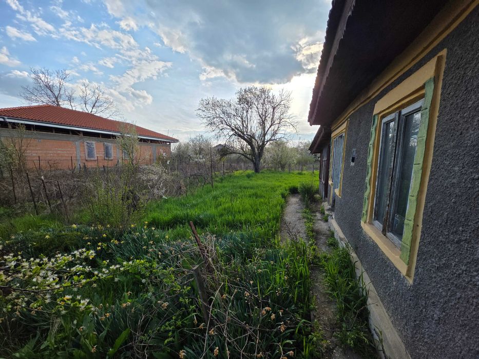 Teren intravilan 1160 mp, Dascălu, str. Oltului, canalizare, curent și gaze, proprietar
