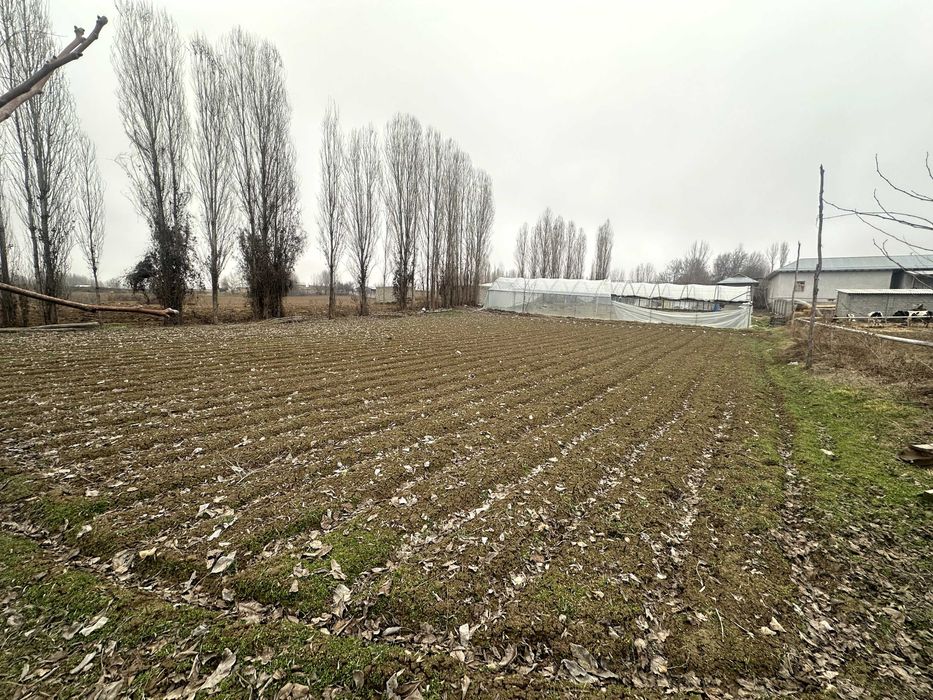 Yangiyo'l tumani M39 betonkani yoni 24 sotix