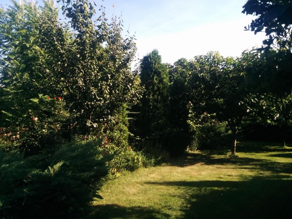 Casa – Zona Centrală (Tudor Vladimirescu)