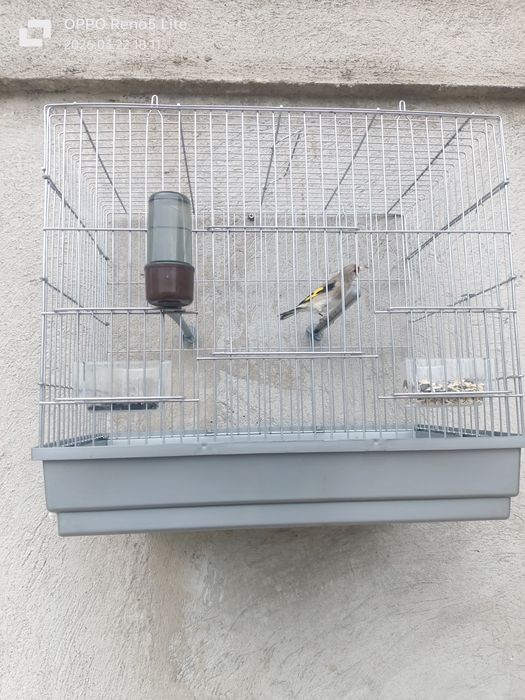 Сава пепель продается