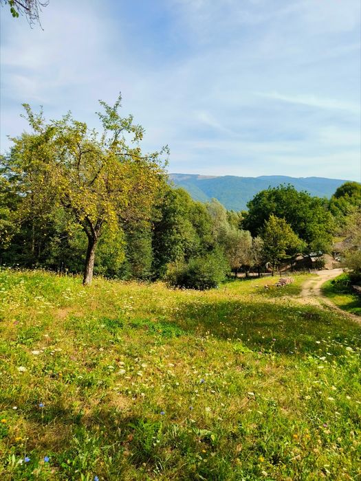 Teren 3.800 mp - Slatina, Nucsoara