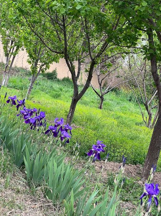 6 sotix Er Sotiladi - Damariq Toshmi po‘stidan 3km