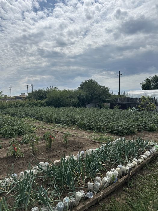 Продам дачу на Темирязева