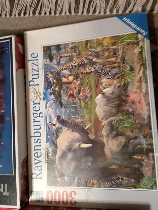 Puzzle de 3000 piese