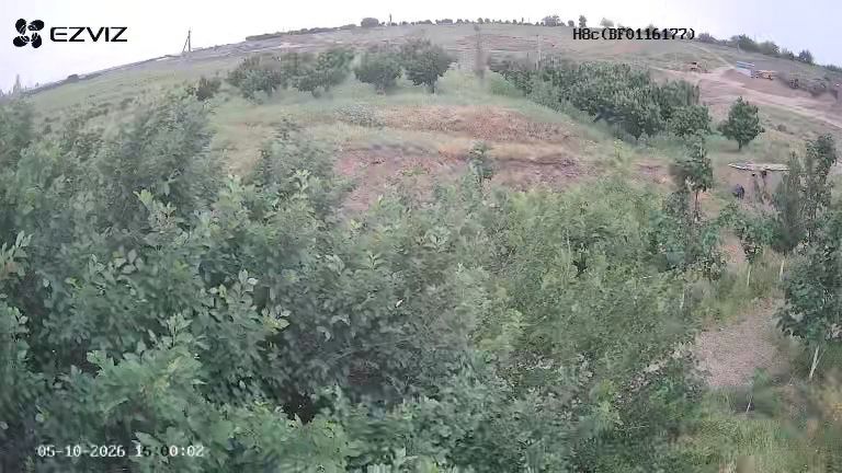 Гилос бог уй молхона свет сув хамма нарсаси бор