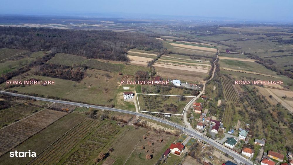 Teren intravilan Berchez 3700 mp+ 2950 mp Utilități 700€/ar NEGOCIABIL