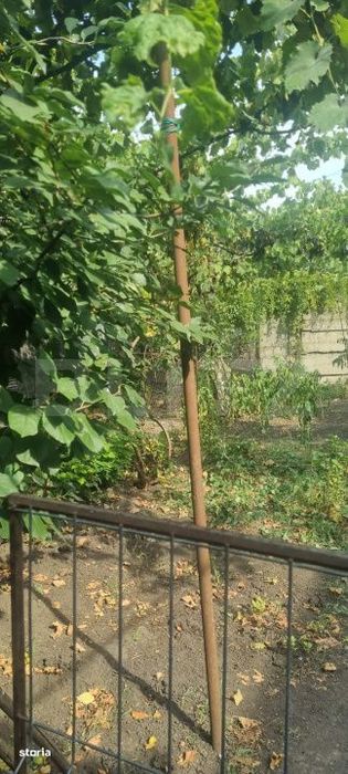 Casa Cu 2 Camere Curte Si Gradina