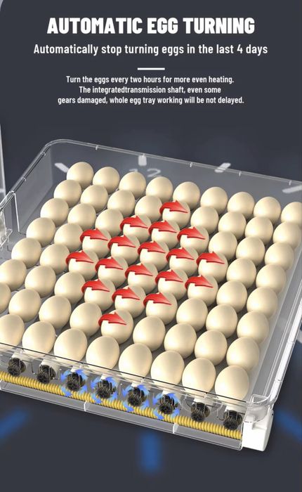 Автомат инкубатор 36/72/144/216/288