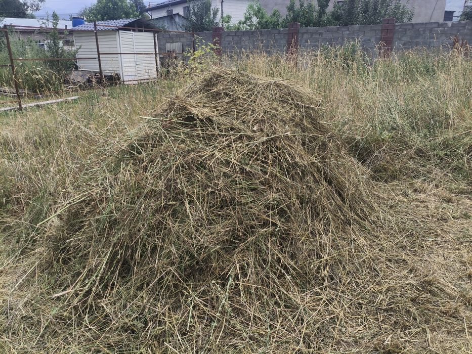 стоги сена за 4 бутылки Колы