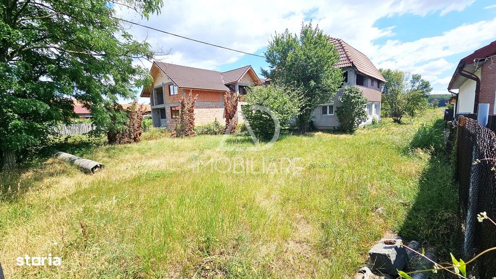Casa P+1 Runcu, sat Răchiți