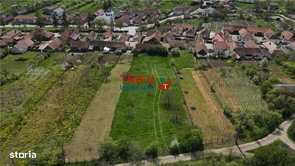 Casă autentică cu farmec transilvănean – o proprietate rară în Cricău