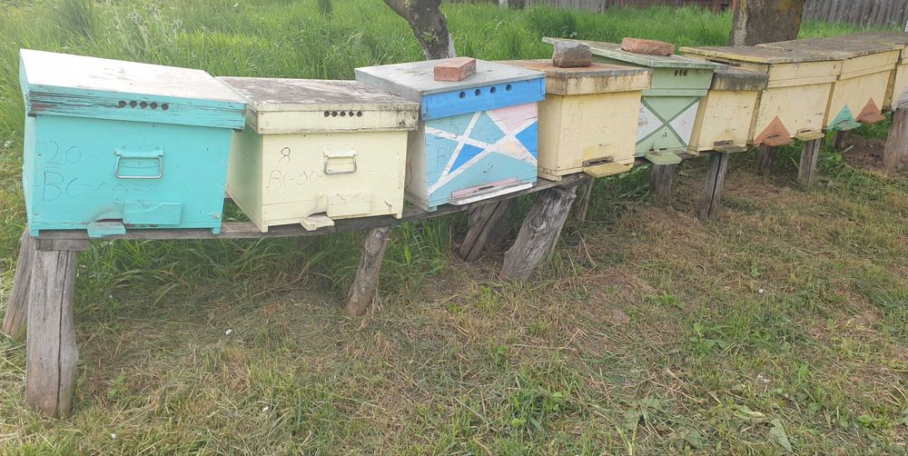 Vand stupi folosiți
