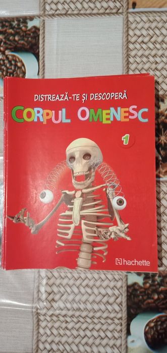 Carti Corpul Omenesc