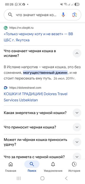 Черный котенок бесплатно