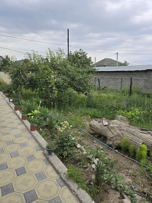 Продам пол дома 12 соток земли