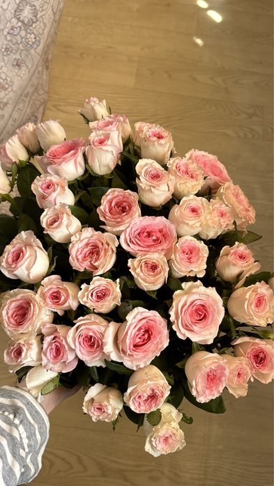 51 Розы бело-розовые