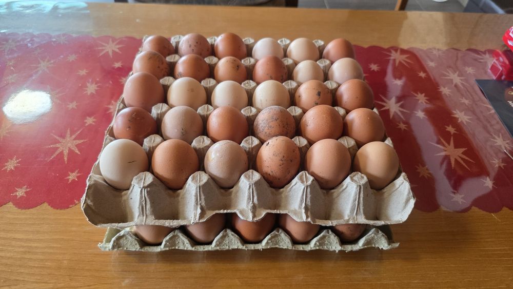 Домашни пресни яйца от село Юнаците