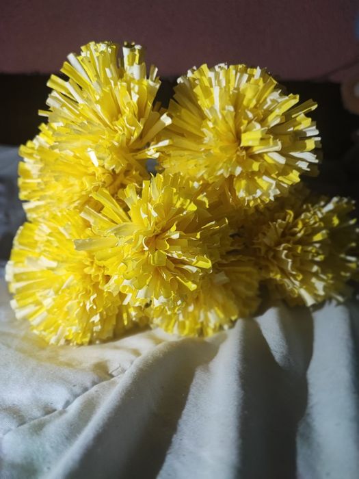 Декоративни цветя