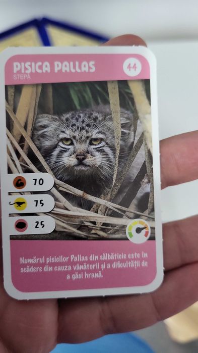 Colectie mega expeditie in jurul lumii 1 si 2 dubluri