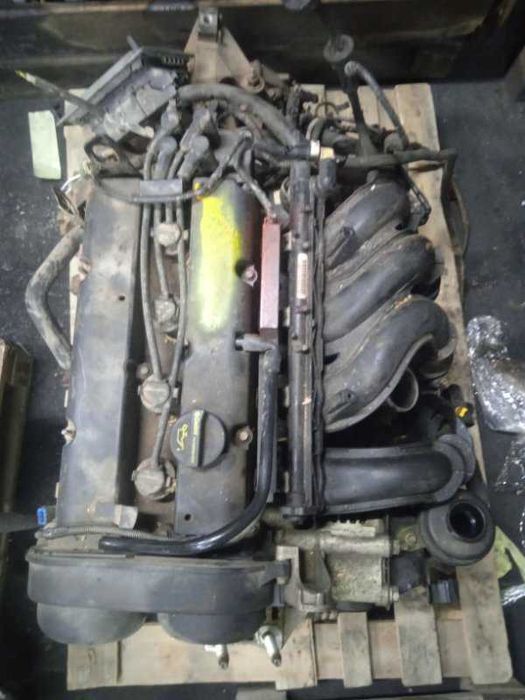 Двигатель Ford Focus 1.6 SHDA