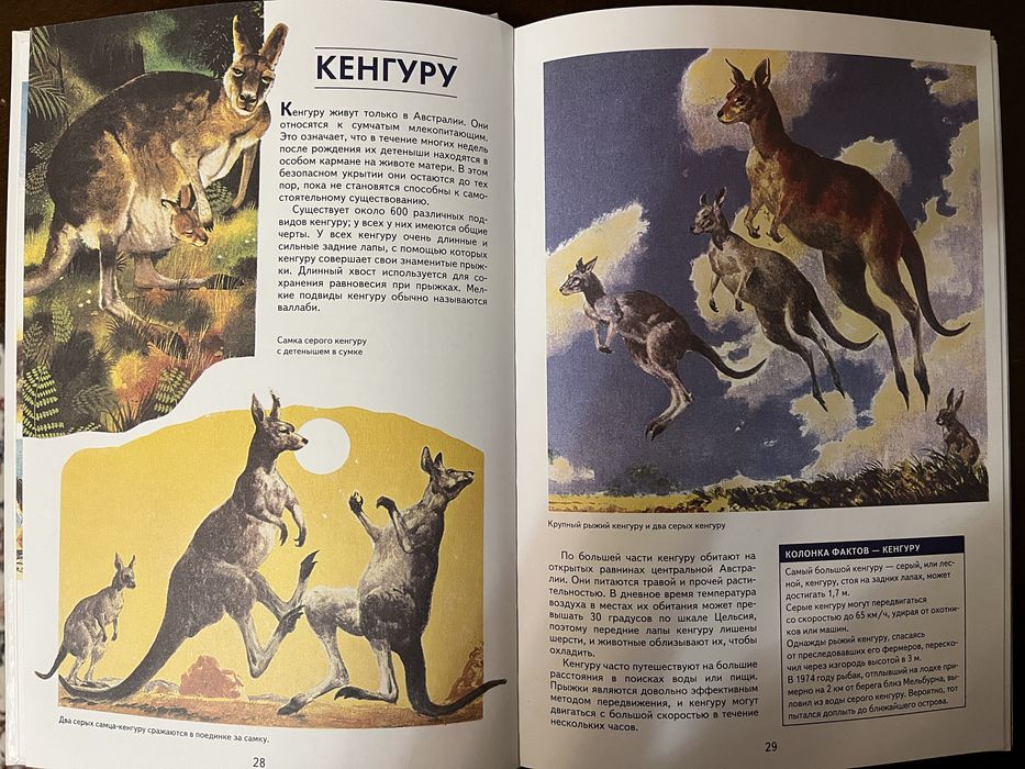 Продам энциклопедию животных