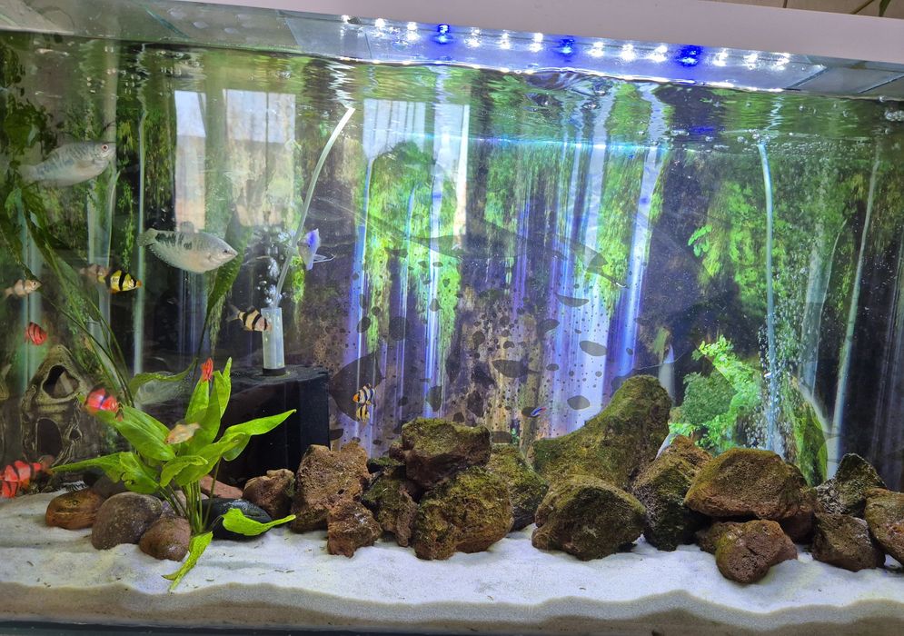 Продам аквариум.