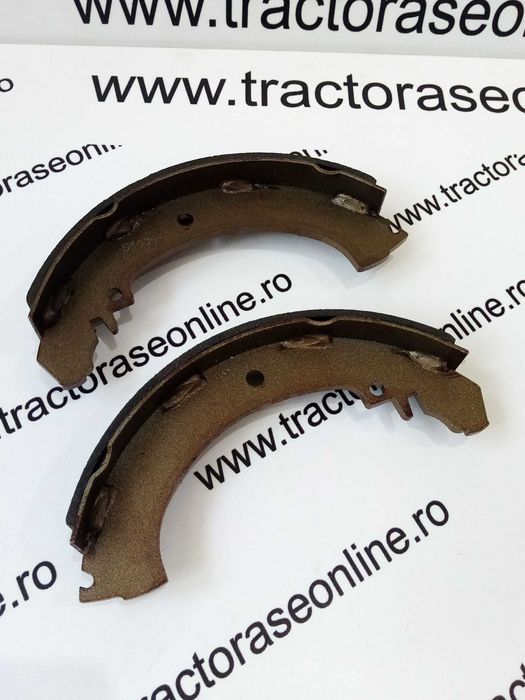 Saboti Frana Goldoni