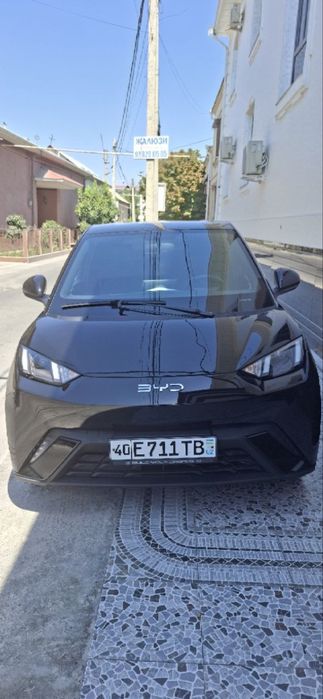 Byd seagull.