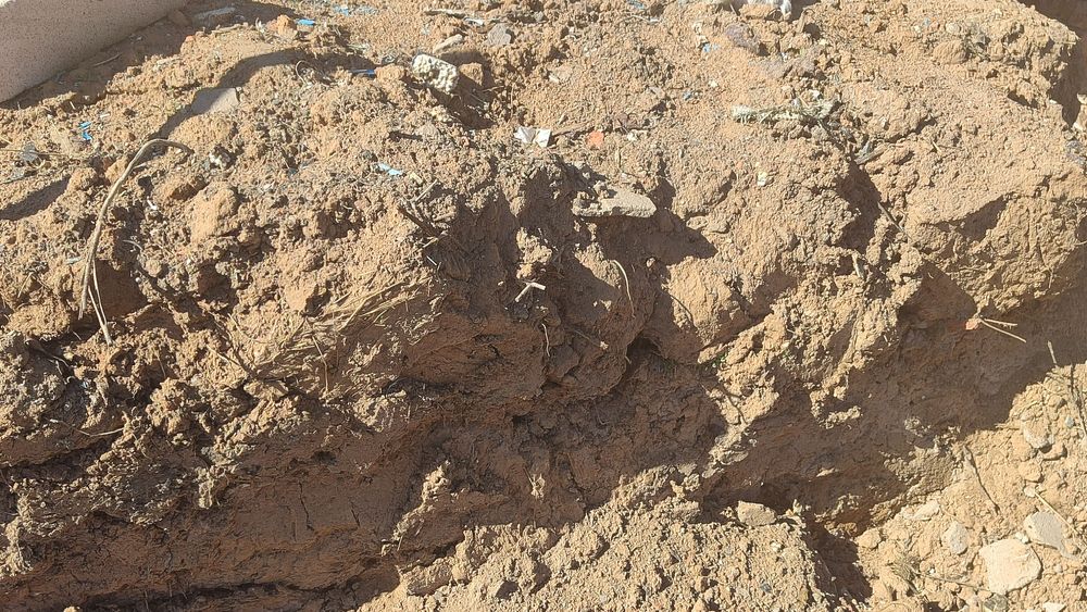 Сары балшық тегін