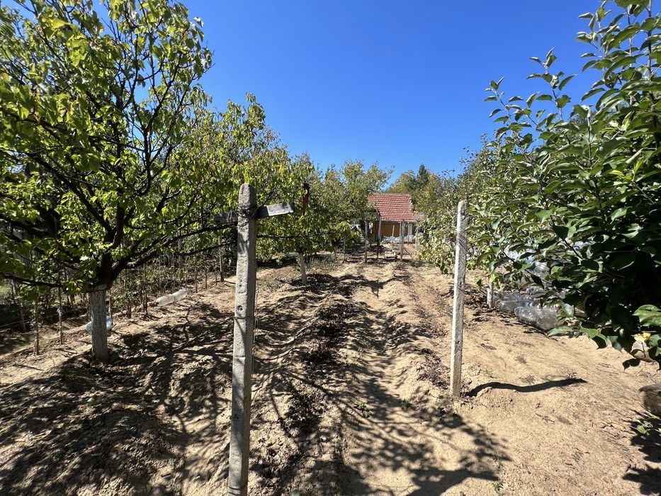 Продава се Парцел в Плевен, Дружба 1 - 550 кв.м за 13 €/кв.м - Снимка #3