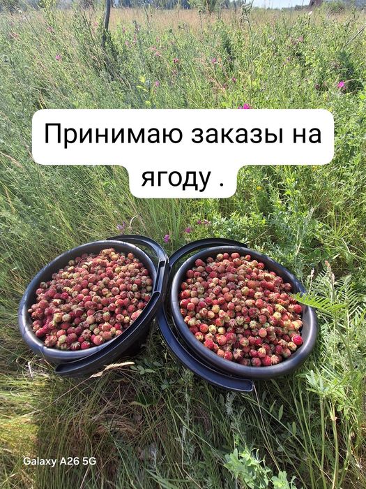 Продам ягоду на заказы