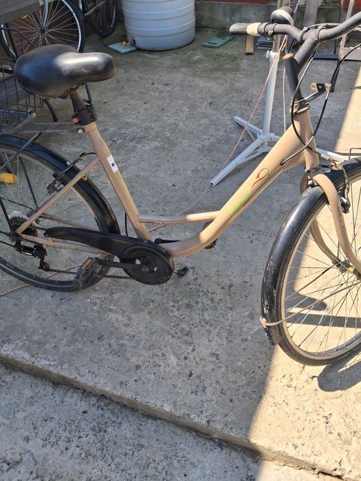 Biciclete de damă și bărbătească