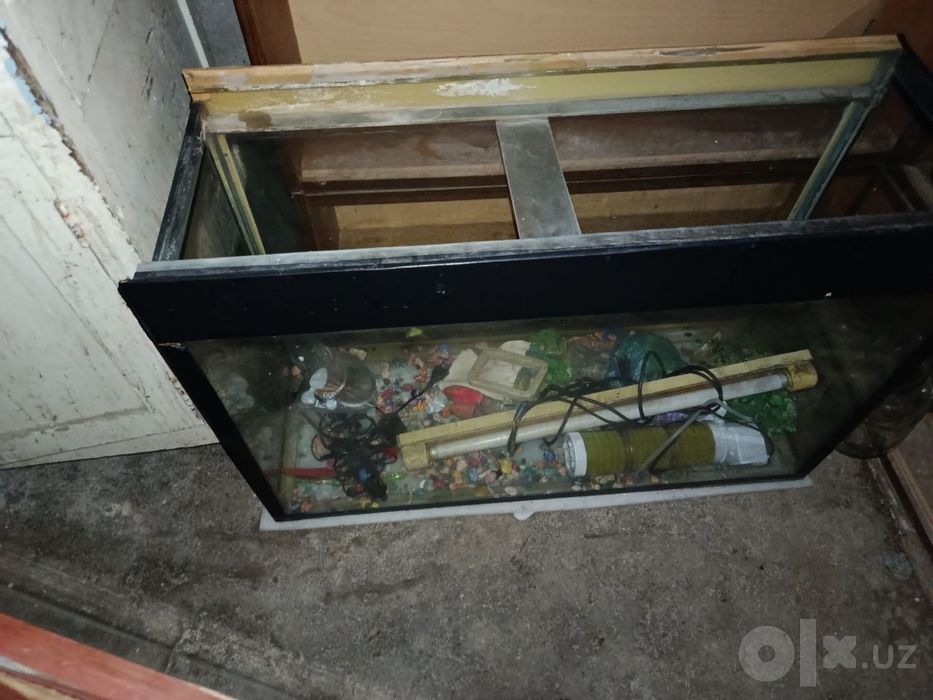 Аквариум со всеми удобствами