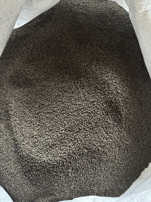 Семена люцерна СЕМИРЕЧНЫЙ сорт. Магниченный