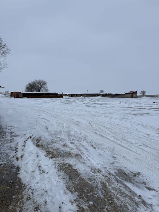 Продам ферму (фазенду)