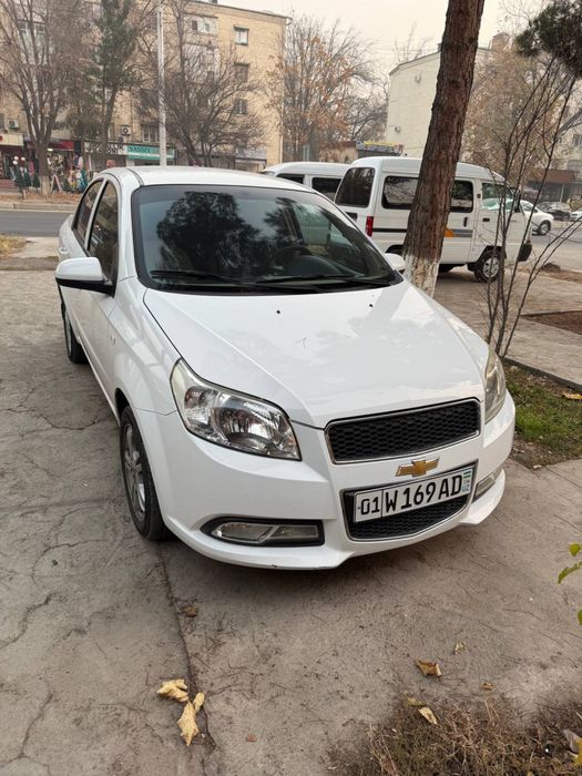 2017 yil, oq, kraskasi TOZA