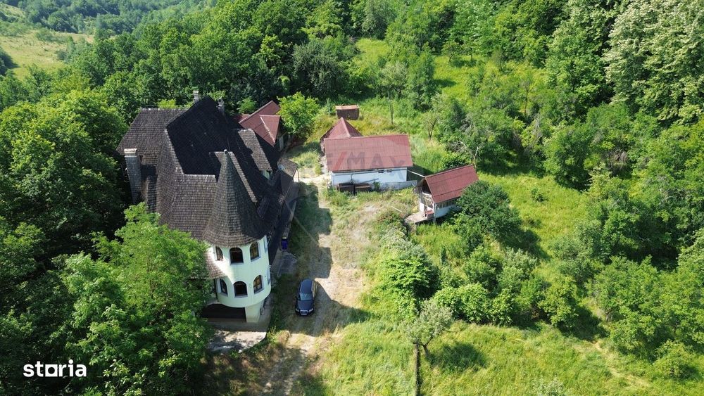 Castel de Vanzare IN MARAMURES
