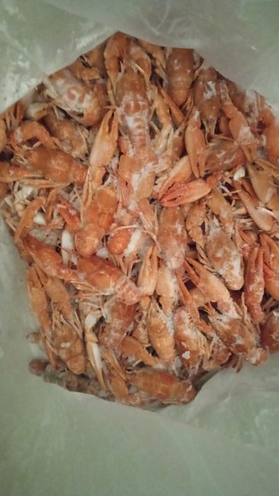 Раки сухой заморозки оптом