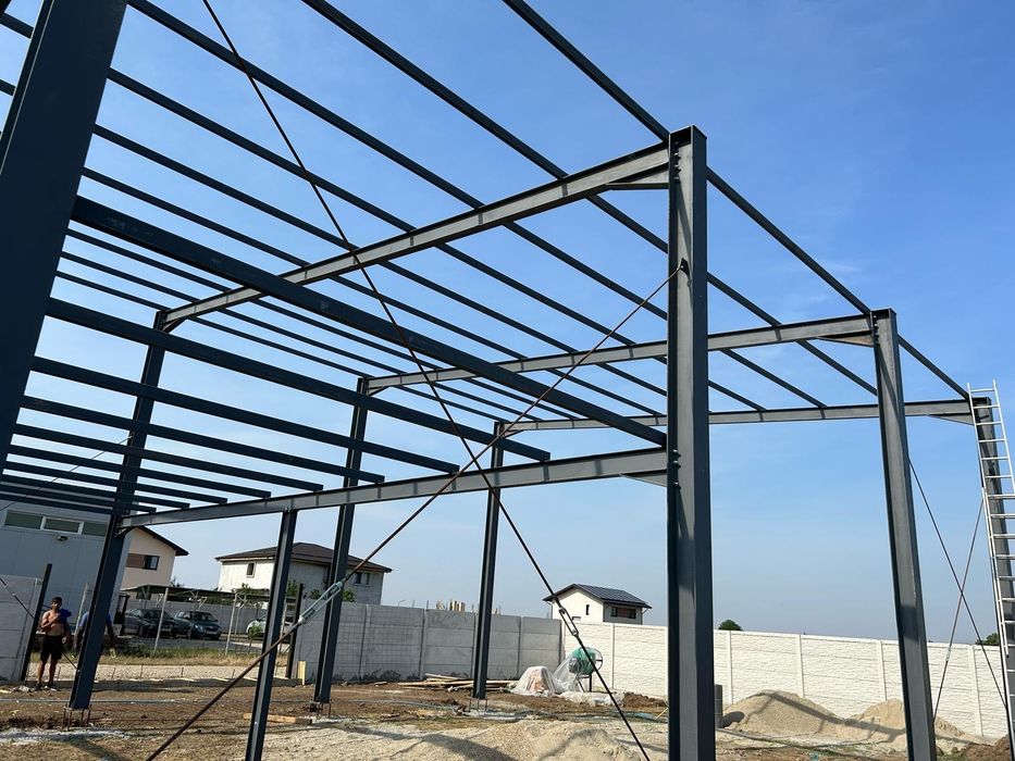 Vand hala metalica 8x12 din europrofile