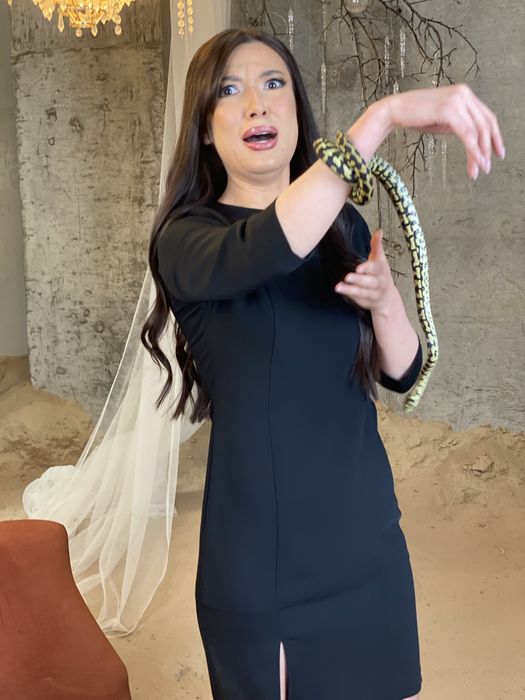 Организация Тимбилдингов