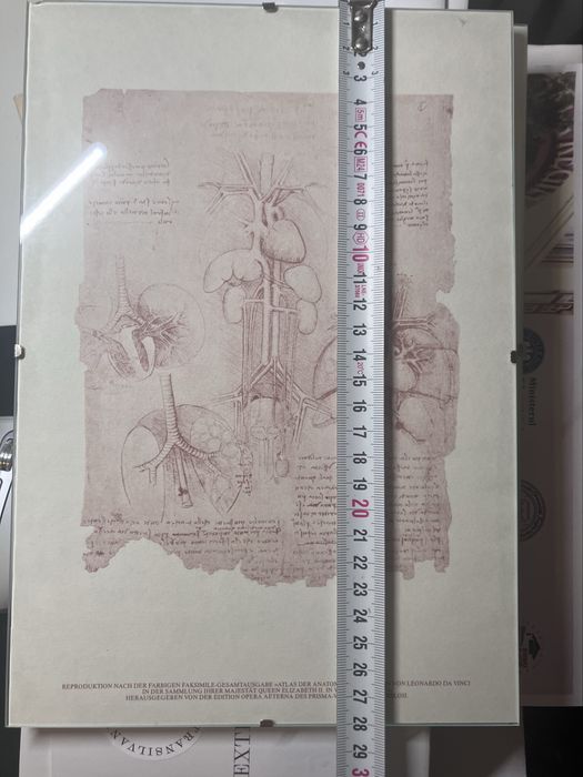 Litografie studiu anatomia inimii Leonardo da Vinci