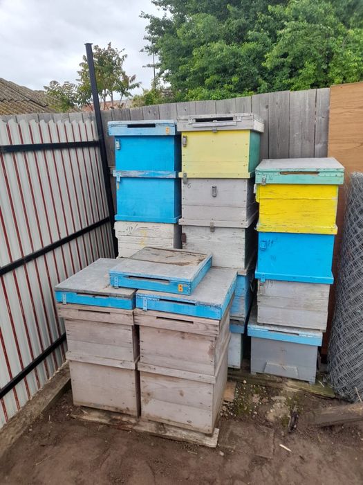 Vand 10 lazi de stupi