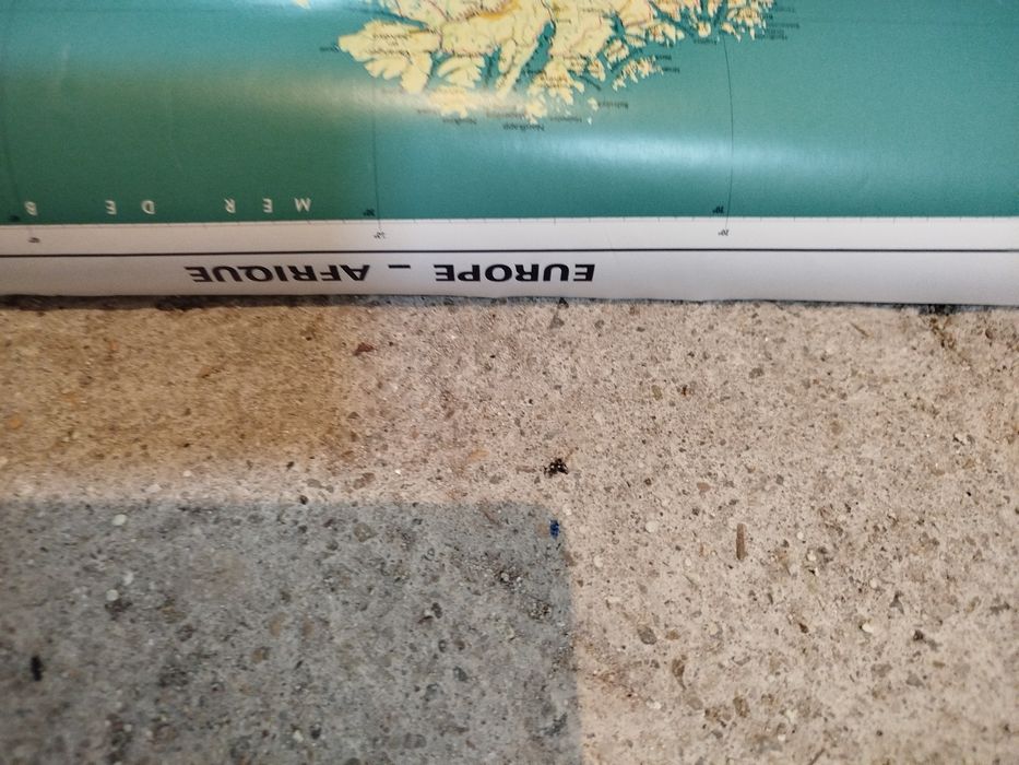 Harta lumii din 3 planse