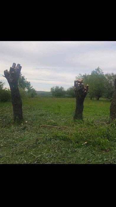 Vand teren intravilan, Vanju Mare, 3000 m