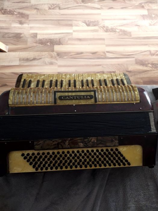Acordeon Cantulia