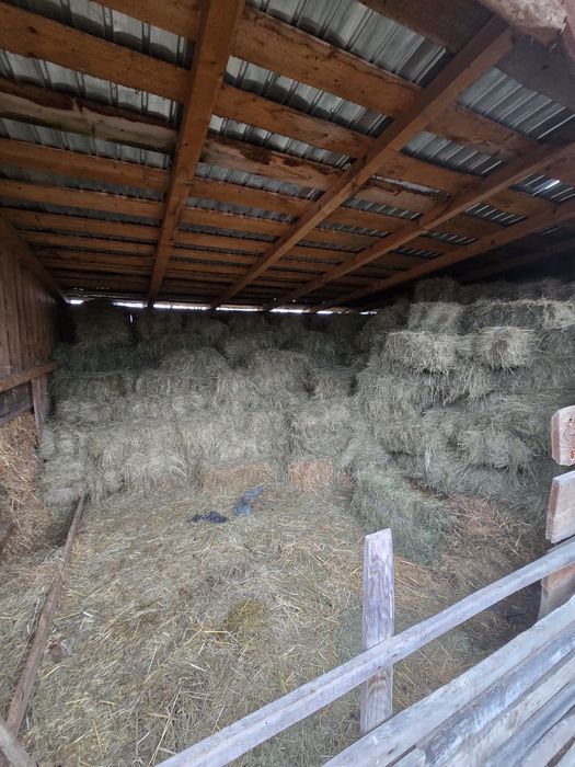 De vanzare baloti de fan