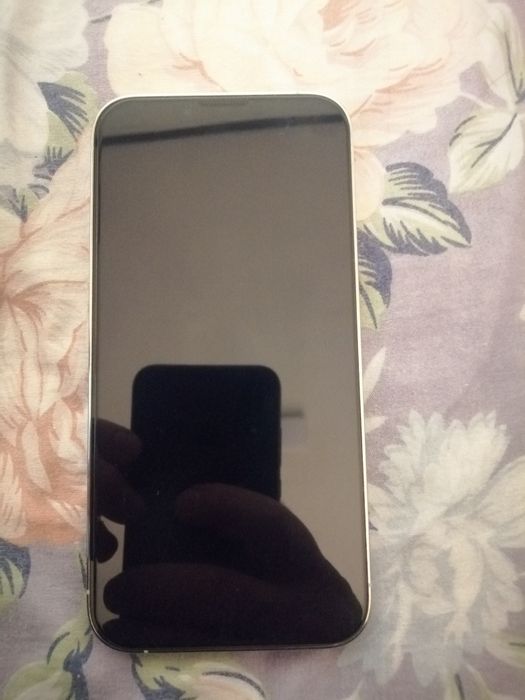 IPhone 13 pro garatiyali