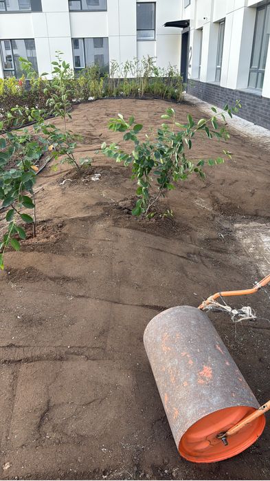 Посев газона от 1500