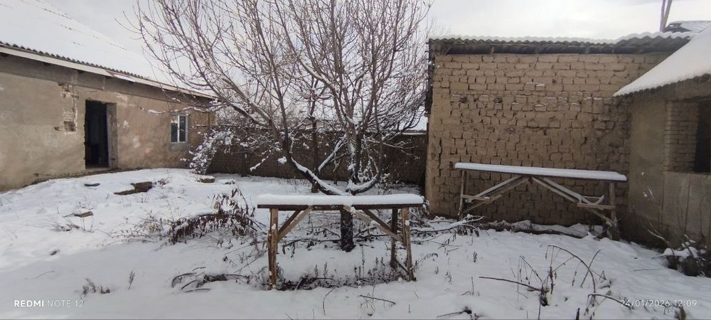 Уй эгасидан сотиладигон ховли уй