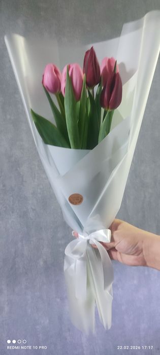 Голландские тюльпаны к 8 Марта!